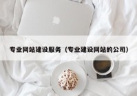 专业网站建设服务（专业建设网站的公司）