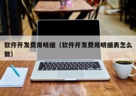 软件开发费用明细（软件开发费用明细表怎么做）