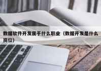 数据软件开发属于什么职业（数据开发是什么岗位）