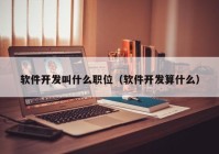 软件开发叫什么职位（软件开发算什么）