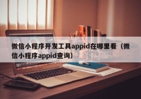 微信小程序开发工具appid在哪里看（微信小程序appid查询）