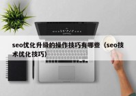 seo优化升级的操作技巧有哪些（seo技术优化技巧）