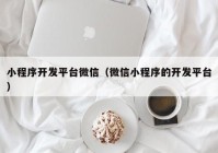 小程序开发平台微信（微信小程序的开发平台）