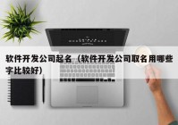 软件开发公司起名（软件开发公司取名用哪些字比较好）