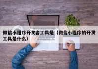 微信小程序开发者工具是（微信小程序的开发工具是什么）