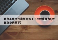 北京小程序开发华网天下（小程序开发fjw北京华网天下）