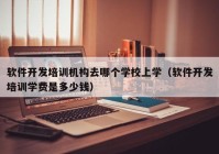 软件开发培训机构去哪个学校上学（软件开发培训学费是多少钱）