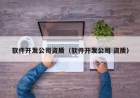 软件开发公司资质（软件开发公司 资质）