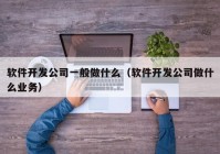 软件开发公司一般做什么（软件开发公司做什么业务）