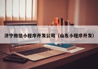 济宁微信小程序开发公司（山东小程序开发）