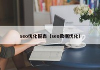 seo优化报表（seo数据优化）