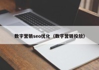 数字营销seo优化（数字营销投放）