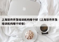 上海软件开发培训机构哪个好（上海软件开发培训机构哪个好些）