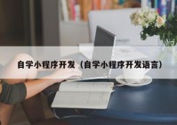 自学小程序开发（自学小程序开发语言）