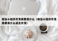 微信小程序开发需要用什么（微信小程序开发需要用什么语言开发）