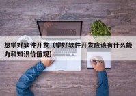 想学好软件开发（学好软件开发应该有什么能力和知识价值观）