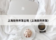 上海软件开发公司（上海软件开发）